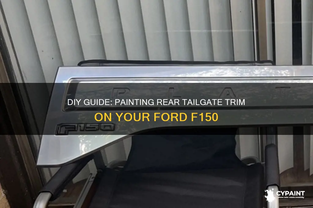how to paint rear tailgate trim f150