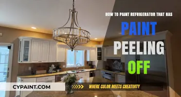 Refurbishing Your Fridge: Painting Over Peeling Surfaces