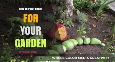 Creative Rock Painting Ideas to Beautify Your Garden Space