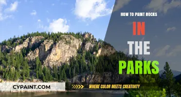 Creative Rock Painting Tips for Park Artists: A Beginner's Guide