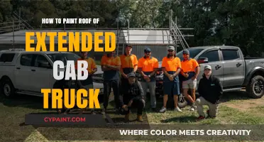 DIY Guide: Painting the Roof of Your Extended Cab Truck