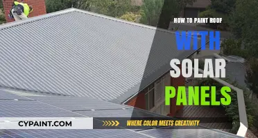 Painting Your Roof with Solar Panels: A Step-by-Step Guide