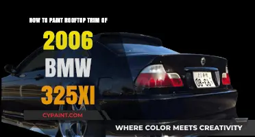 The Perfect Paint Job: Refreshing Your BMW's Trim