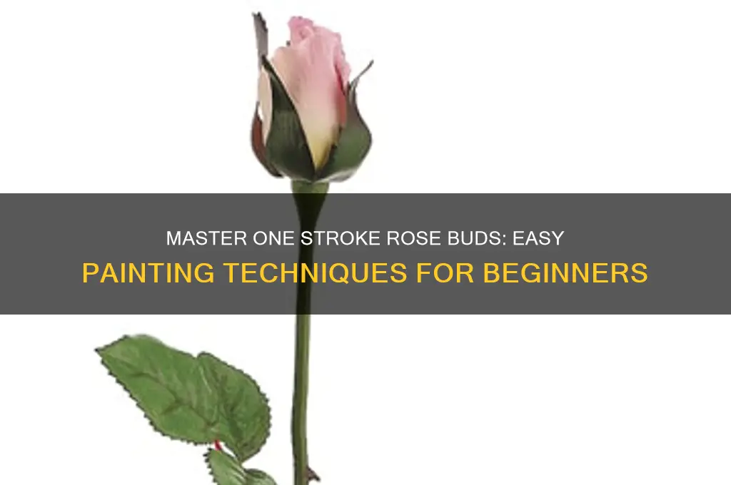 how to paint rose buds one stroke