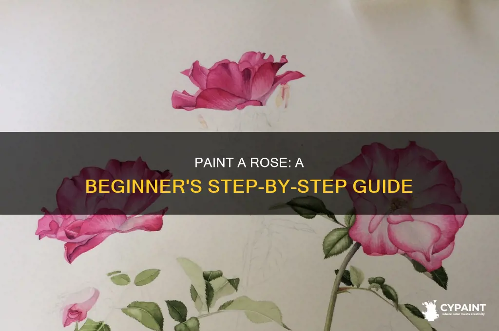 how to paint rose step by step for beginners