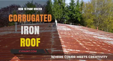 Revive Your Rusted Roof: Painting Corrugated Iron Made Easy