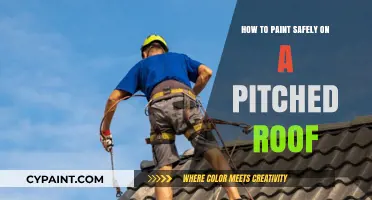 Safe Roof Painting: Essential Tips for Pitched Surfaces