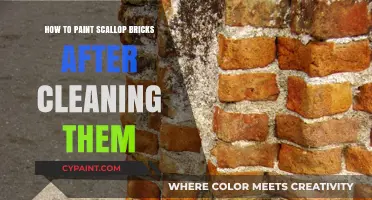 Revive Your Scallop Bricks: Painting Tips Post-Cleaning for a Fresh Look