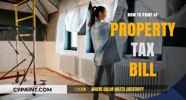Creative Guide to Painting Your SF Property Tax Bill Accurately