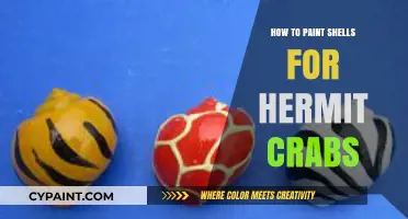 Creative Shell Painting: A Guide for Hermit Crab Enthusiasts