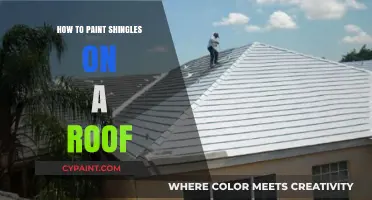 Mastering Roof Shingle Painting: Tips for a Professional Finish