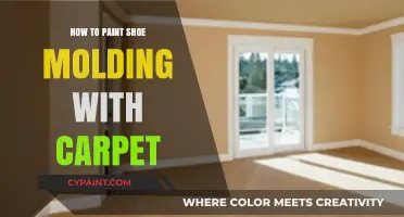 Painting Shoe Molding with Carpet: A Step-by-Step Guide