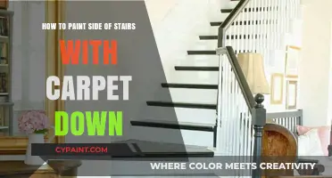 Painting Stairs with Carpet: A Step-by-Step Guide