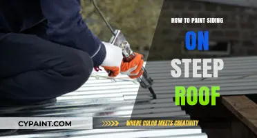 Safely Painting Steep Roof Siding: Expert Tips and Techniques