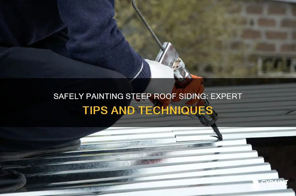how to paint siding on steep roof