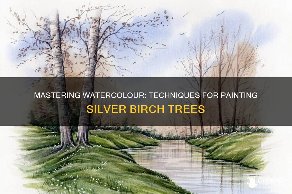 how to paint silver birch trees in watercolour