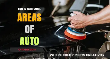 Mastering Auto Detailing: Tips for Painting Small Car Areas