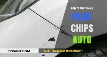 Mastering Small Auto Paint Chip Repairs: A Step-by-Step DIY Guide