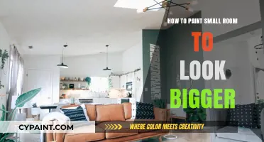 Maximize Space: Painting Tips to Make Small Rooms Appear Larger