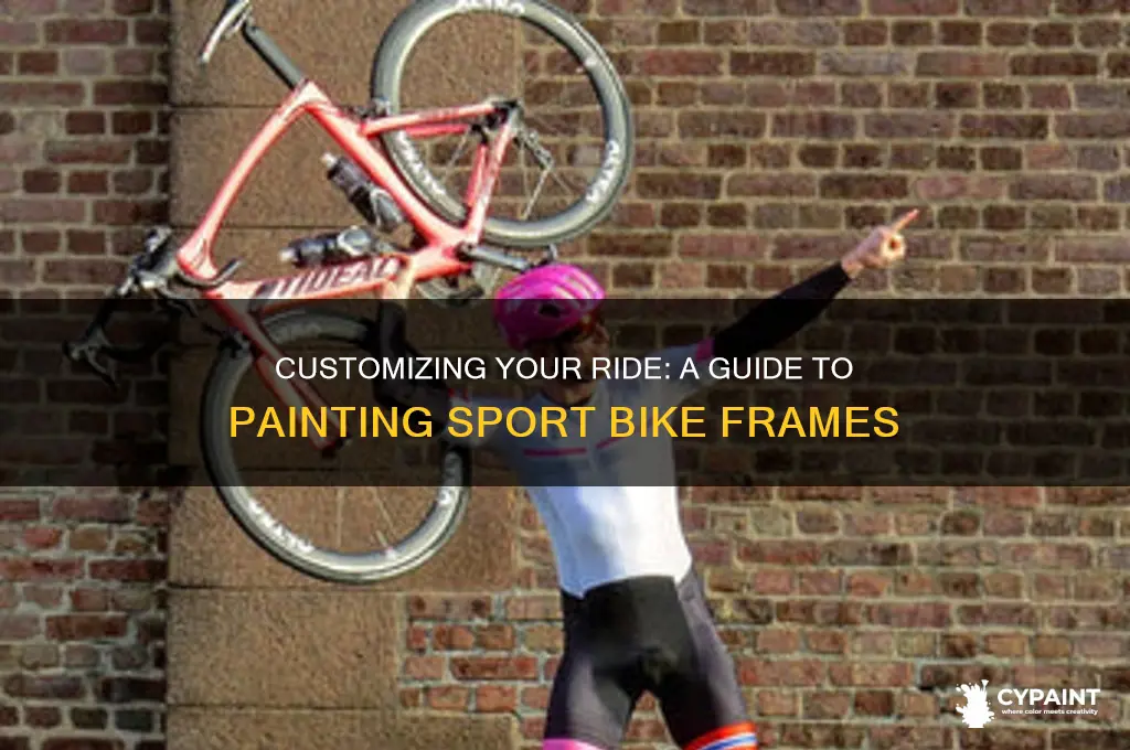 how to paint sport bike frame street bike