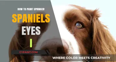 Mastering Springer Spaniel Eye Painting: Techniques for Lifelike Canine Portraits