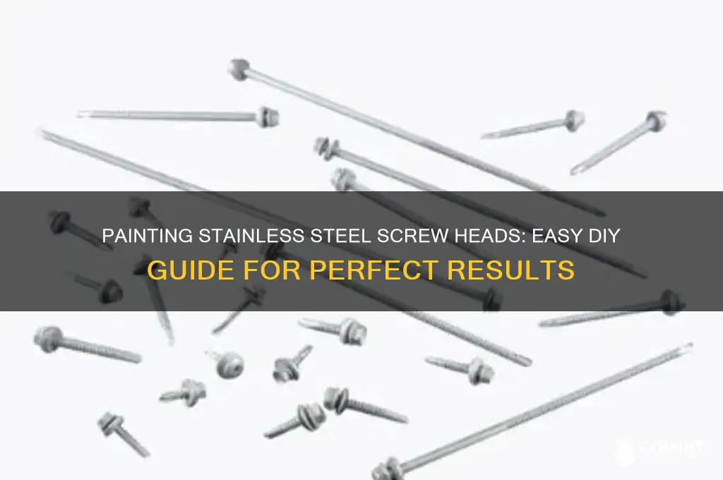 how to paint stainless steel screw heads