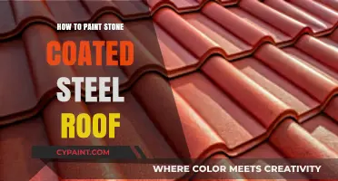 Mastering Stone-Coated Steel Roof Painting: A Step-by-Step Guide