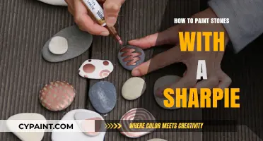 Creative Stone Art: Painting with Sharpies for Beginners