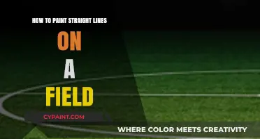 Mastering Straight Lines: Techniques for Perfect Field Painting