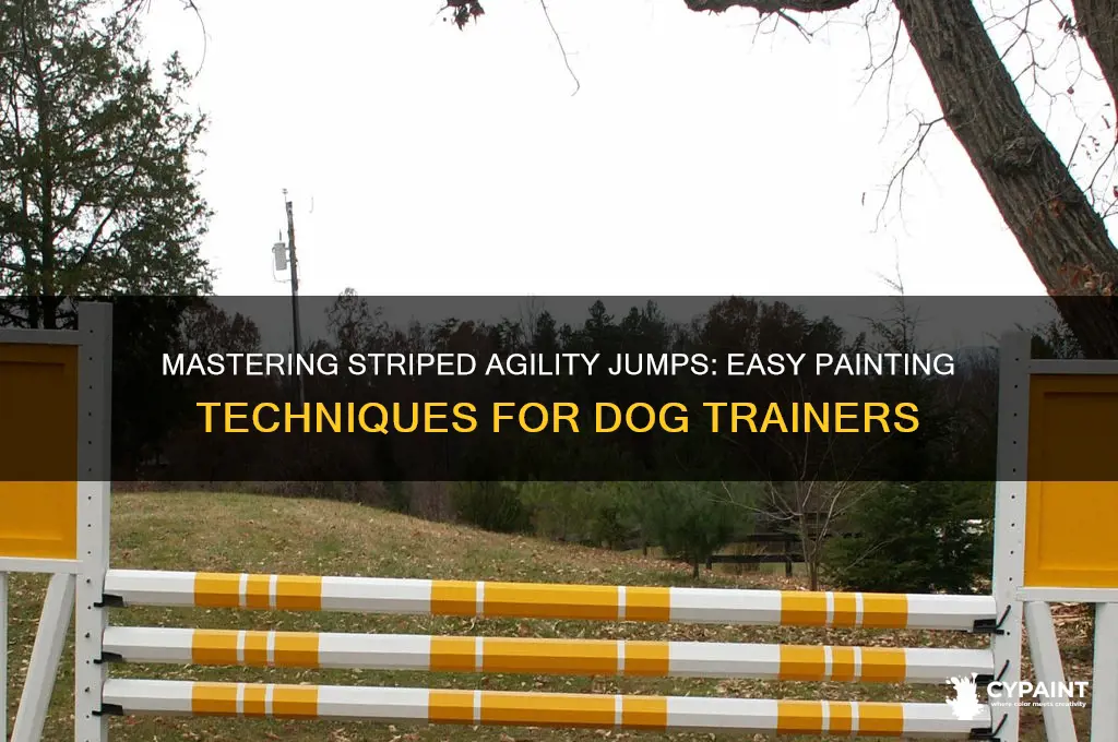 how to paint stripes on agility jumps