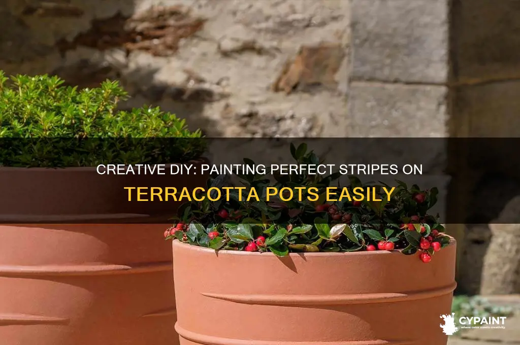 how to paint stripes on terracotta pots