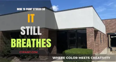 Breathable Stucco Painting: Techniques for Durable, Moisture-Resistant Finishes