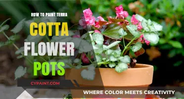 Creative Tips for Painting Terra Cotta Flower Pots Like a Pro