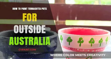 Creative Outdoor Terracotta Pot Painting Tips for Australian Gardens