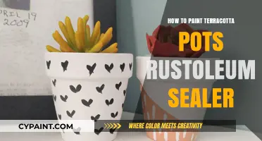 DIY Guide: Painting Terracotta Pots with Rustoleum Sealer