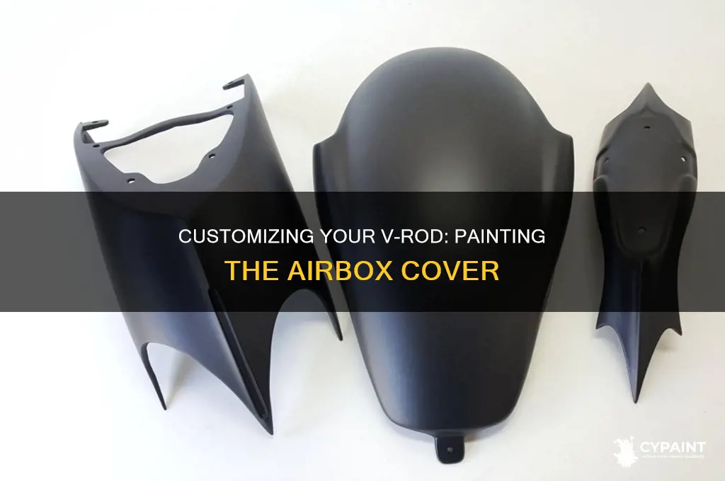 how to paint the airbox cover of a vrod