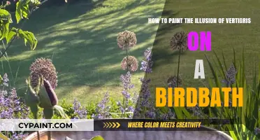 Mastering the Art of Painting Vertigris Illusion on Birdbaths