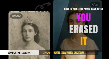Restoring Erased Photos: A Step-by-Step Guide to Painting Back Details