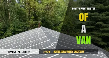 Mastering Van Roof Painting: Tips for a Professional Finish