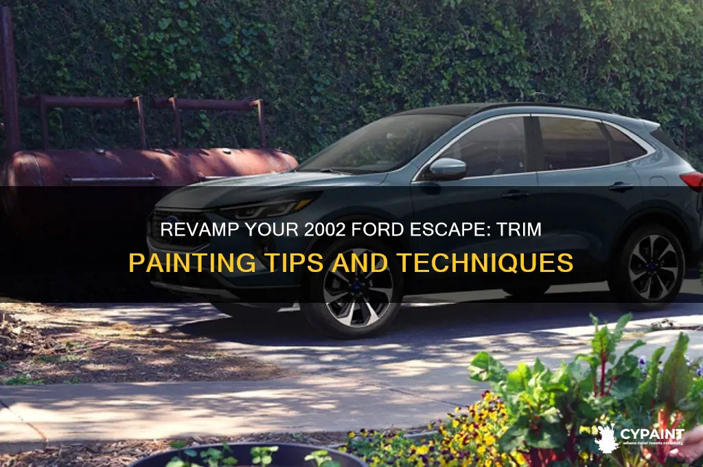 how to paint the trim on a 2002 ford escape