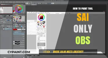 Mastering Paint Tool SAI for OBS Streaming: A Beginner's Guide