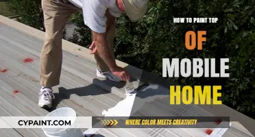 Easy Steps to Paint Your Mobile Home's Roof Like a Pro
