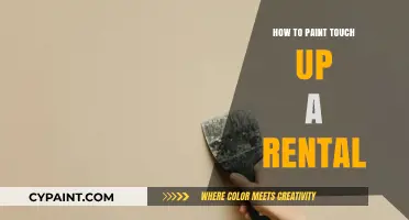 Quick Rental Touch-Up Tips: Paint Fixes for a Flawless Finish