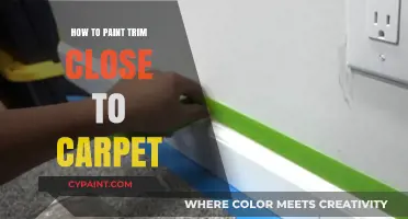 Mastering Trim Painting: Tips for Flawless Results Near Carpet