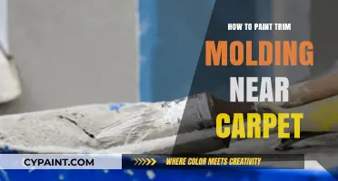 Painting Trim Molding Near Carpet: Tips for a Clean, Professional Finish