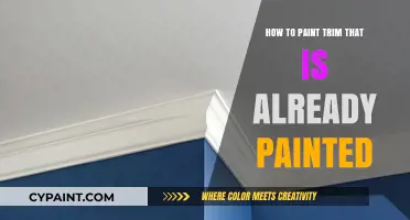 Refreshing Painted Trim: Tips for Repainting with Precision and Ease