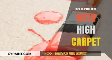 Painting Trim with High Carpet: Tips for a Mess-Free Finish
