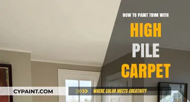Painting Trim with High Pile Carpet: Tips for a Mess-Free Finish