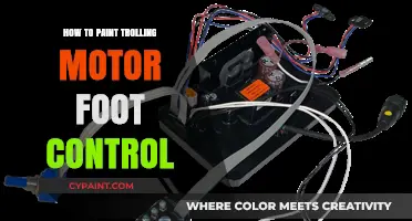 DIY Guide: Painting Your Trolling Motor Foot Control for a Fresh Look