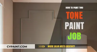 Mastering the Art of Two-Tone Paint Jobs: Tips and Techniques